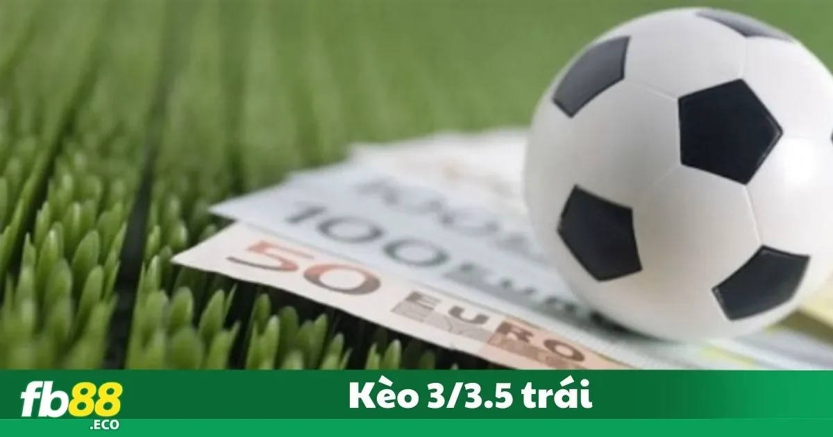 Hướng Dẫn Đọc Kèo 3/3.5 Trái Dành Cho Người Mới