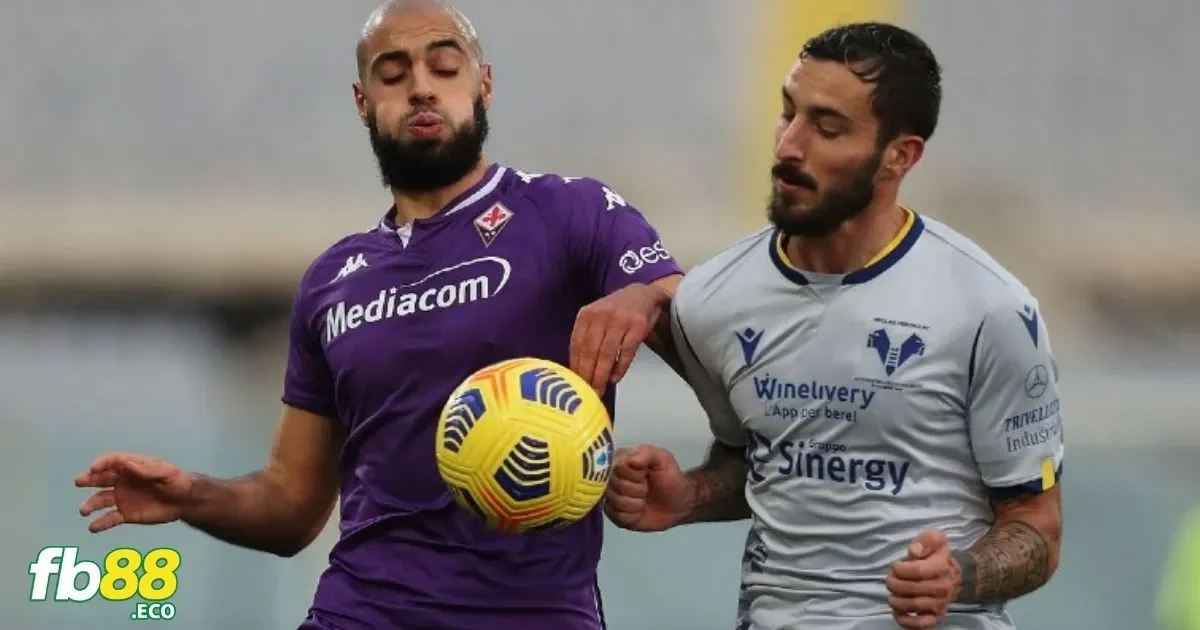 Theo dõi thông tin và phân tích trận đấu