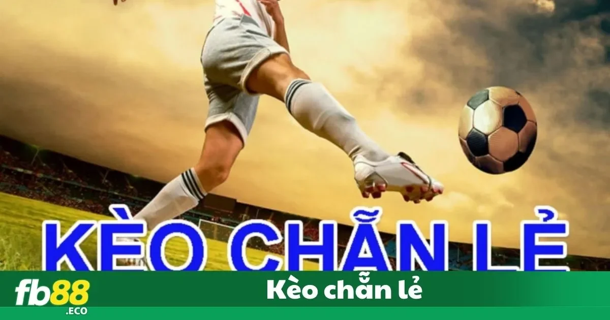 Kèo Chẵn Lẻ Là Gì? Cách Đặt Cược Tại Nhà Cái Fb88