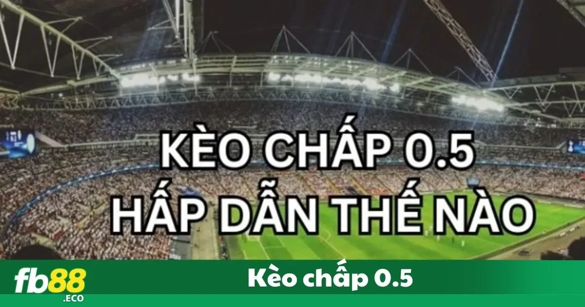 Kèo Chấp 0.5 Là Gì? Bí Quyết Đặt Cược Tại Fb88