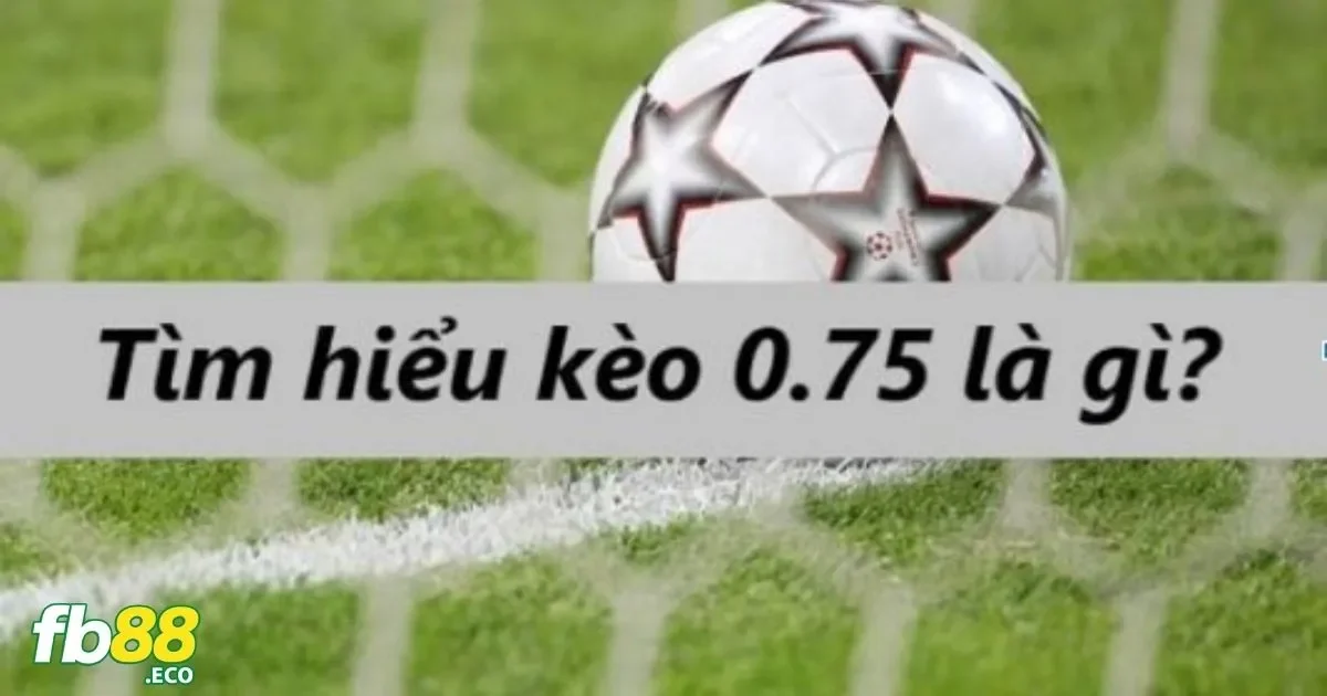 Hướng Dẫn Đặt Cược Kèo 0.75 Tại Nhà Cái Fb88