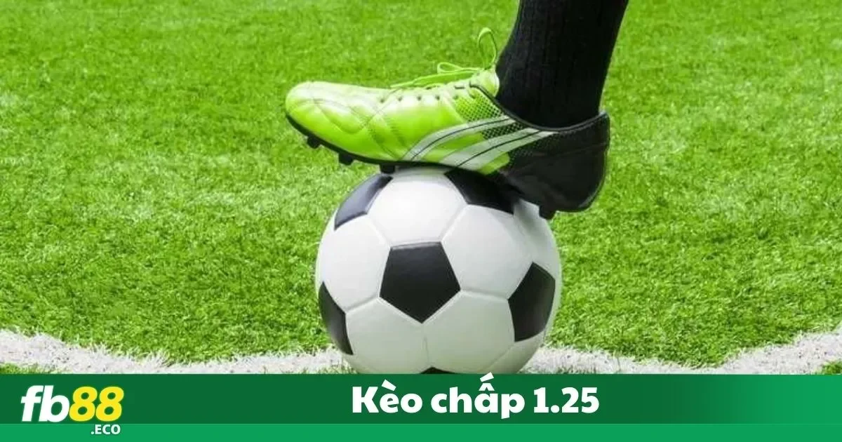 Kèo Chấp 1.25 Là Gì? Ý Nghĩa Và Cách Đọc