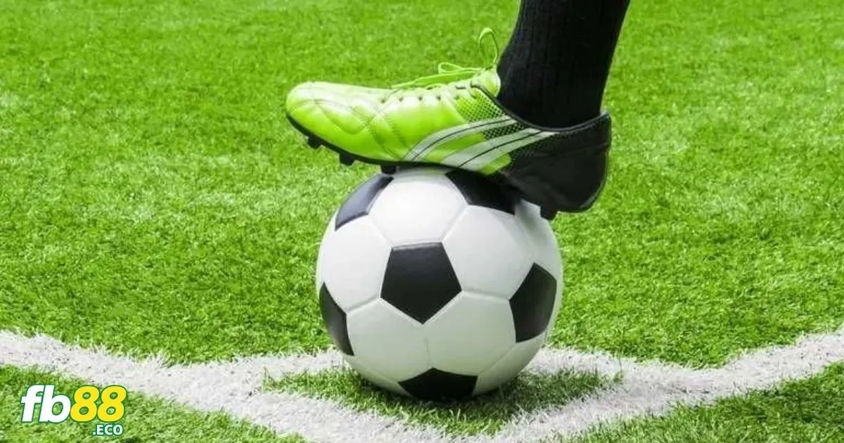 Phân Tích Tình Huống Cược