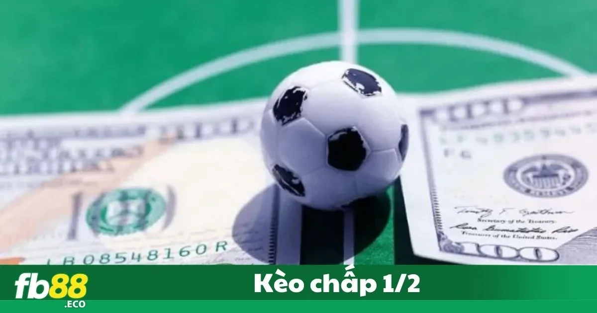 Kèo Chấp 1/2 Là Gì? Cách Hiểu Dành Cho Người Mới