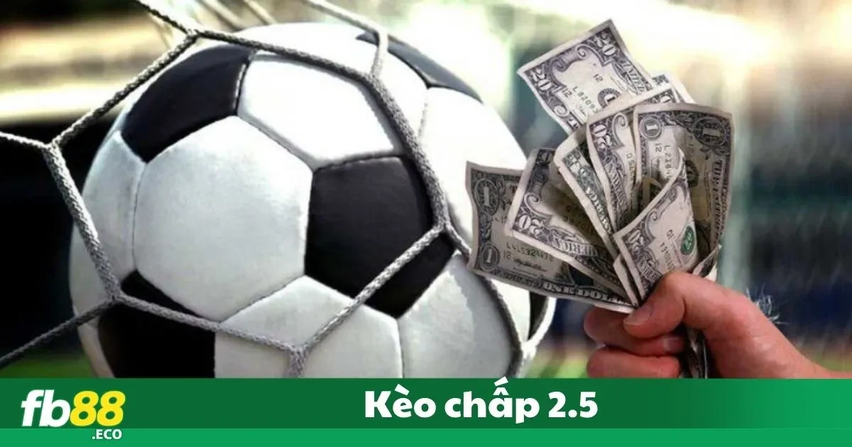Kèo Chấp 2.5 Là Gì? Cách Hiểu Dành Cho Người Mới