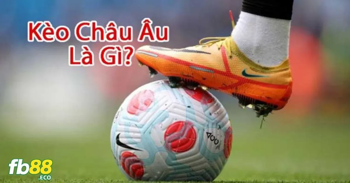 Soi Kèo Châu Âu Chính Xác Nhất Tại Nhà Cái Fb88 3 Soi Kèo Châu Âu: Đăng Ký Tài Khoản Tại Fb88