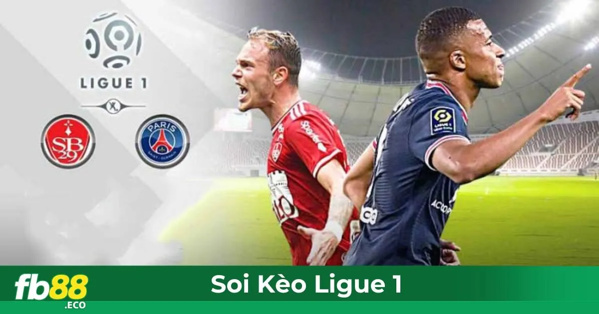 Ligue 1 Là Gì? Tổng Quan Về Các Loại Kèo