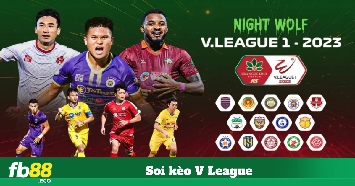 Hướng Dẫn Soi Kèo V League Hiệu Quả