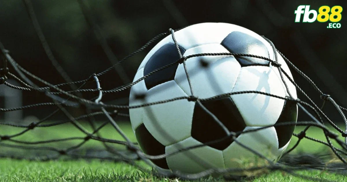 Vì sao mà cược chấp 3 chiều ngày càng phổ biến hiện nay