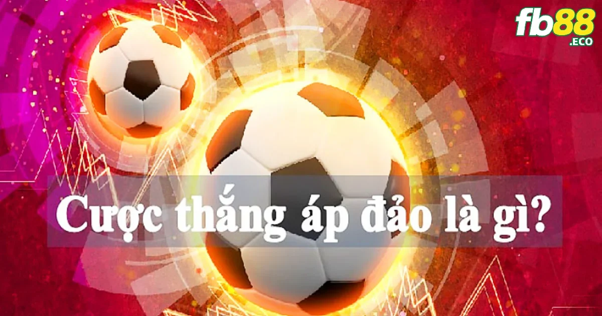 Chiến lược và bí quyết chơi cược thắng áp đảo