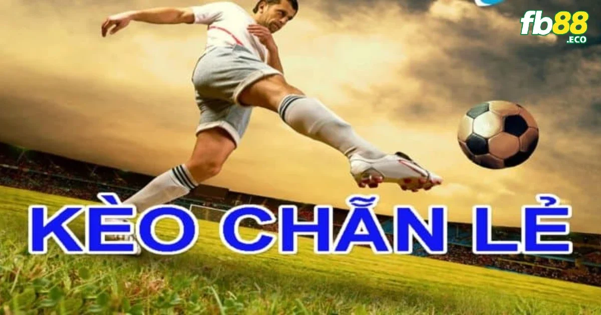 Những thông tin từ nguồn đáng tin cậy có thể hỗ trợ khi chơi kèo chẵn lẻ