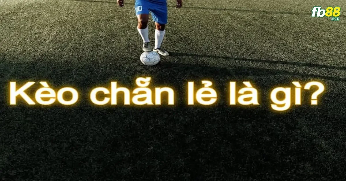 Tìm hiểu về kèo chẵn lẻ một cách chi tiết hơn