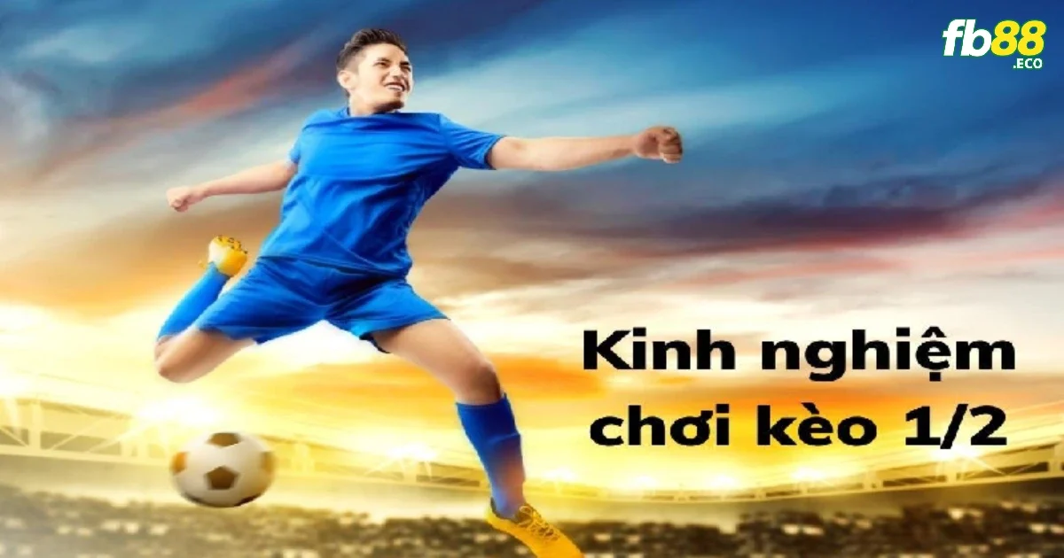 Tìm hiểu về lối chơi và phong độ của các đội bóng giúp trau dồi kinh nghiệm