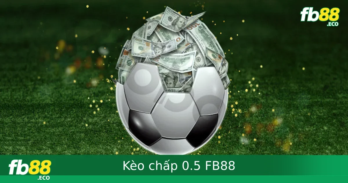 Kèo Chấp 0.5 Tại FB88 – Cách Phân Tích Đơn Giản Cho Người Mới Bắt Đầu