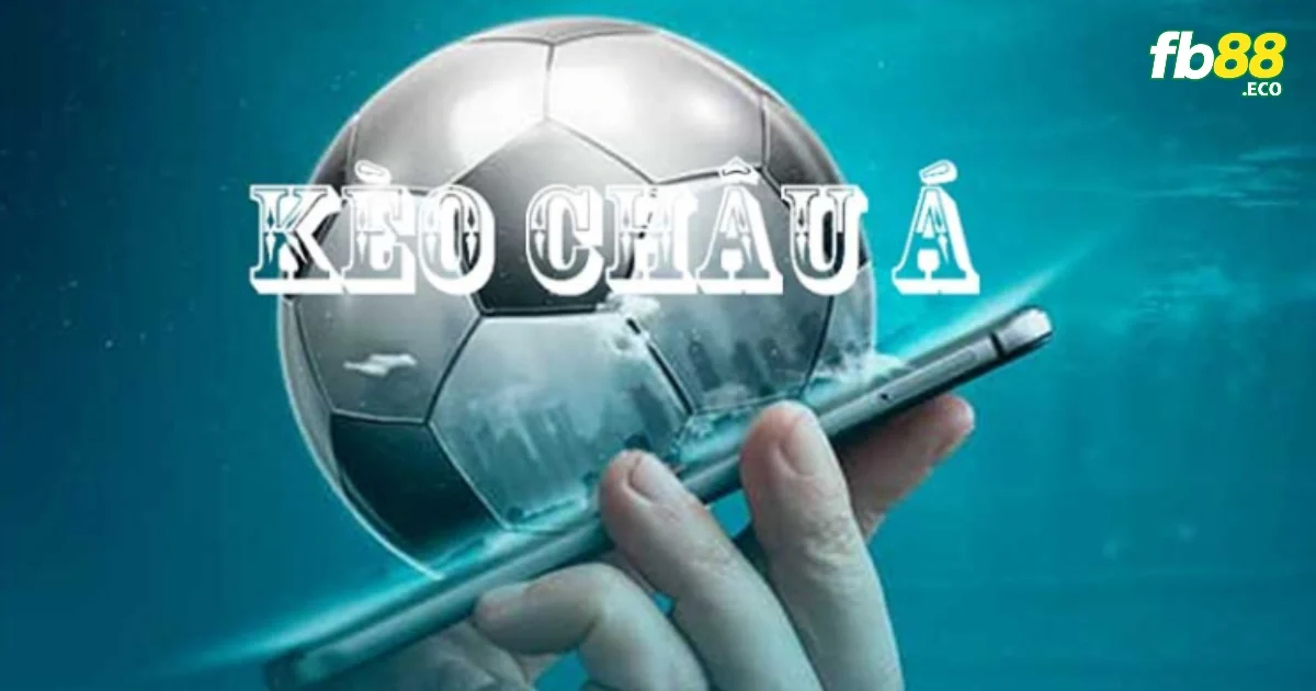 Lịch sử đấu của các đội là dự liệu quý giá