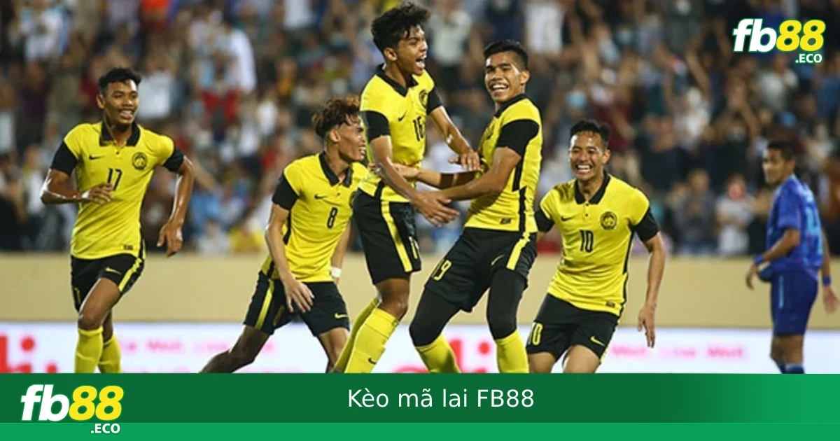 Kèo Mã Lai Tại FB88 – Cách Đọc Và Tính Lời Lỗ Theo Tỷ Lệ Âm Dương