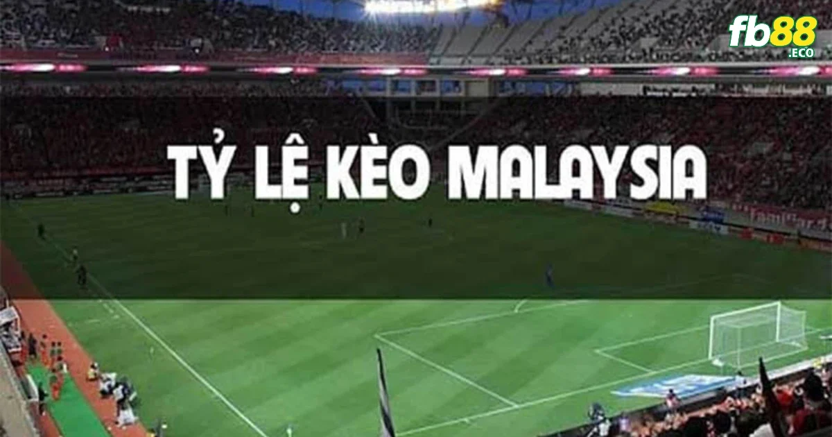 Kèo mã lai với kèo châu Á có những khác biệt gì